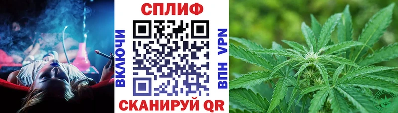 ОМГ ОМГ рабочий сайт как найти закладки Каменск-Шахтинский Шишки марихуана сатива